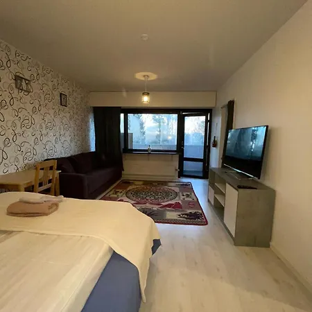 Apartment Comfortable Studio In The Heart Of 42 Sqm Pool View Helsinki